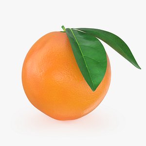 Whole Orange with Leaf 02
