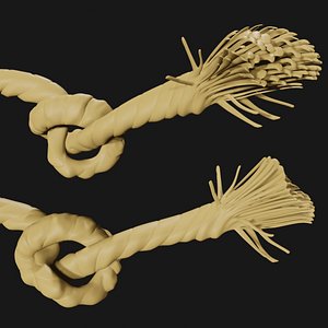 3D Rope knot model