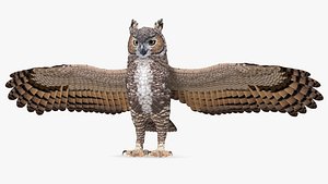great horned owl rigged model