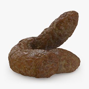 Poop 4 3D model