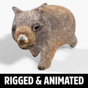 Wombat 3D