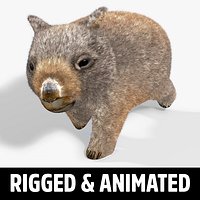 Wombat