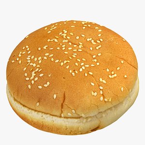 Hamburger Bun 01