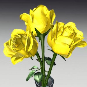 rose flowers 3d model