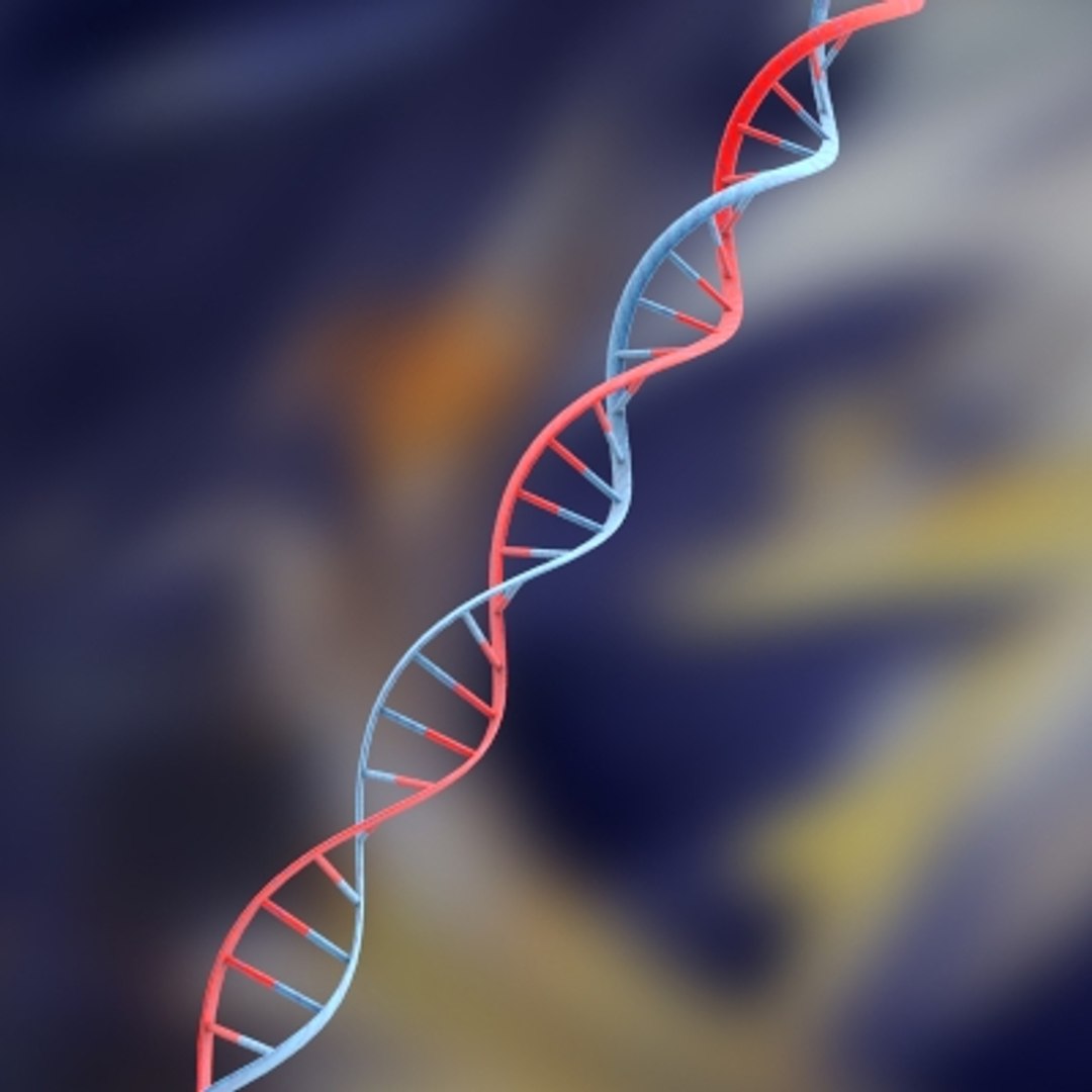 set dna 3d model https://p.turbosquid.com/ts-thumb/8h/YDTGXS/Xx8O6C4q/dna_2_0002/jpg/1128014633/1920x1080/fit_q87/104768ebbf8f435d0eb79274bf8f28bfabf979ae/dna_2_0002.jpg