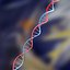 DNA set
