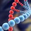 DNA set