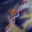 DNA set