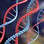DNA set