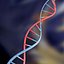 DNA set