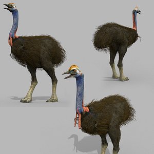 Elephant Bird 8K - 3d animated model 3D model
