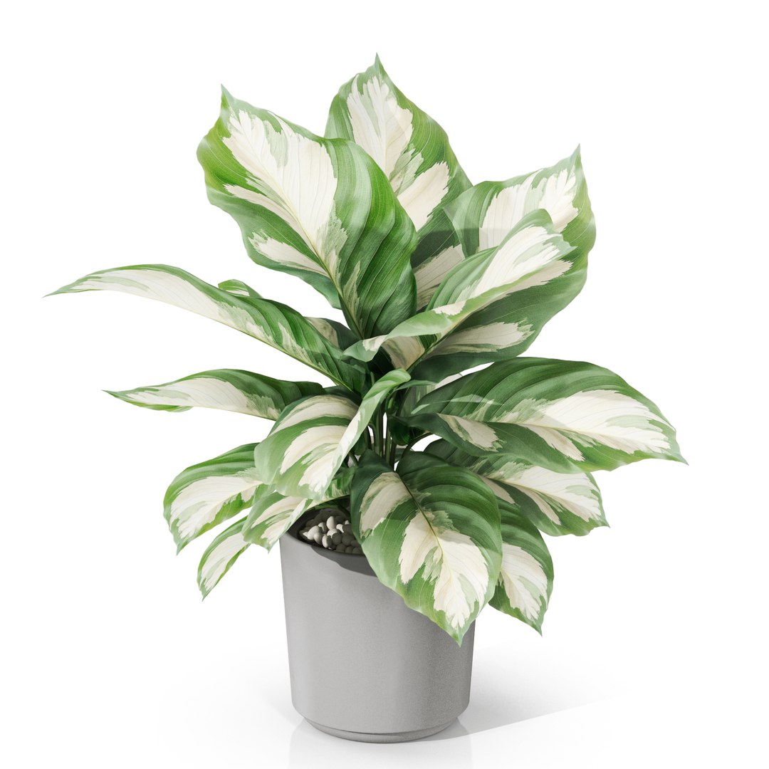 3D Plants collection 1038 model - TurboSquid 2180475