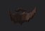 Beard