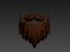 Beard