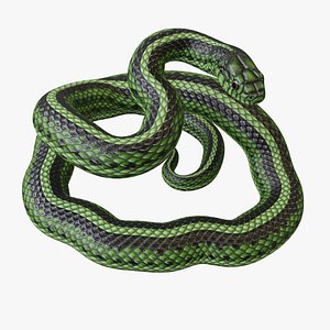 Green Snake - Rigged model