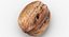Walnuts Collection 01