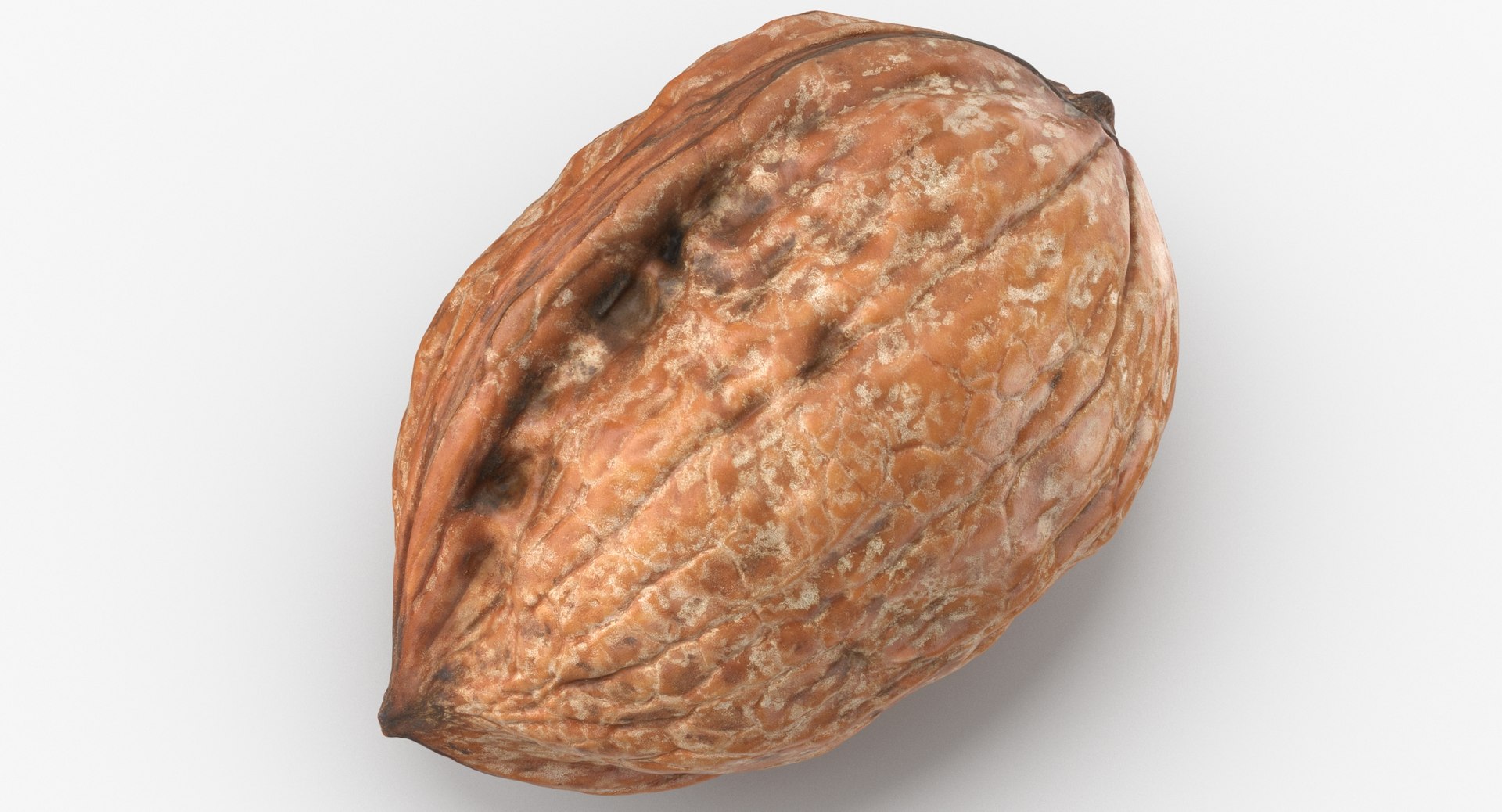 walnuts 01 3D model https://p.turbosquid.com/ts-thumb/8h/udW4gh/JZapZ9KK/walnut_03_thumbnail0002/jpg/1571930030/1920x1080/fit_q87/35432cb73858650598cf50fcc75497d343349879/walnut_03_thumbnail0002.jpg