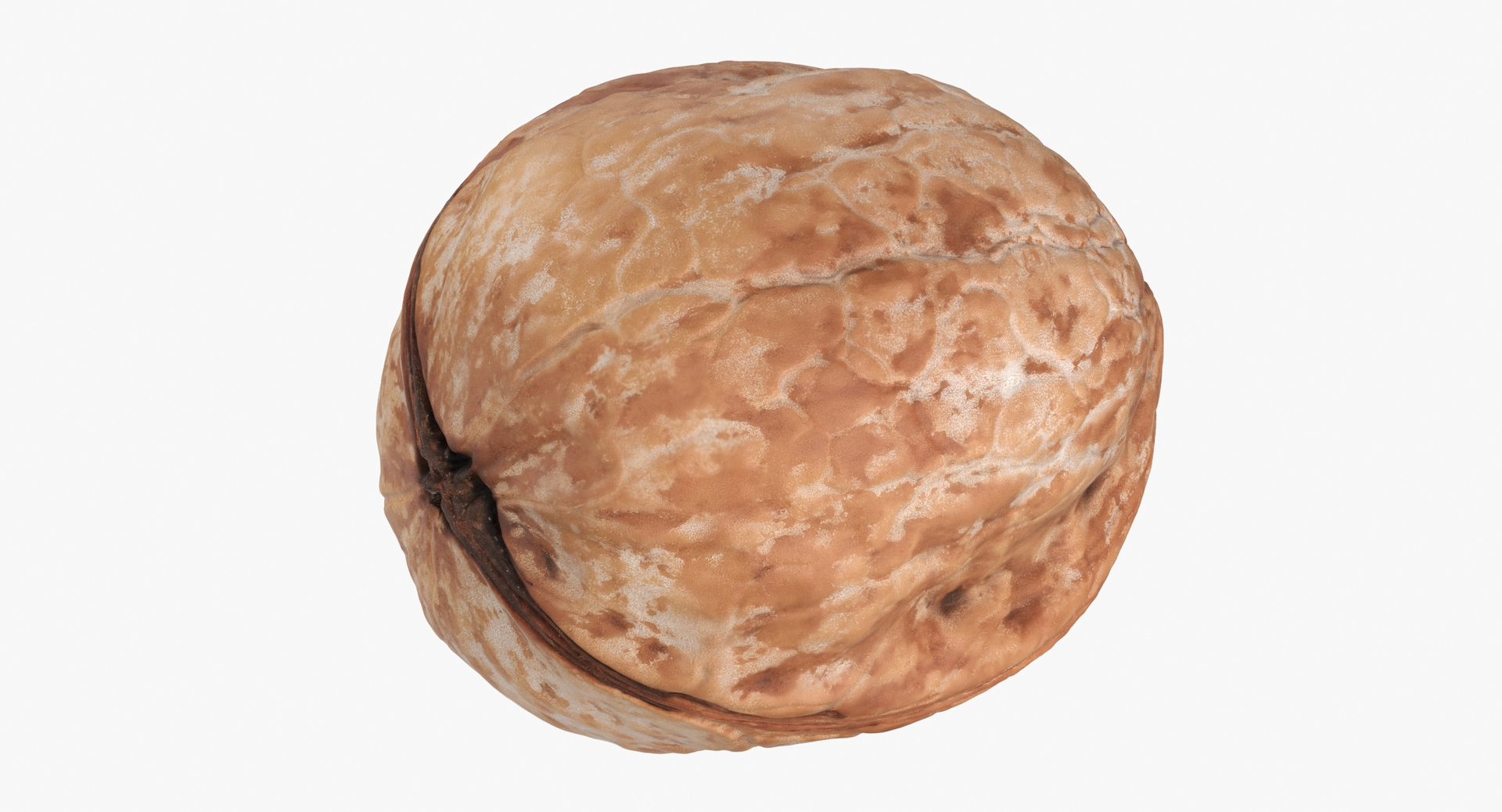 walnuts 01 3D model https://p.turbosquid.com/ts-thumb/8h/udW4gh/YNx27FsV/0000/jpg/1571929817/1920x1080/turn_fit_q99/ded67cae46c8f26c88e097b66ed1327c05c52e3b/0000-1.jpg