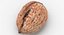 Walnuts Collection 01
