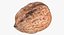 Walnuts Collection 01