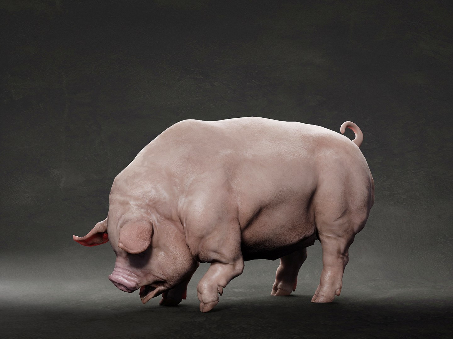 3D Pig model https://p.turbosquid.com/ts-thumb/8h/uvWrbJ/F3/1/jpg/1638137468/1920x1080/fit_q87/fff873f2d87380737af33584058d6da7e08ddc59/1.jpg