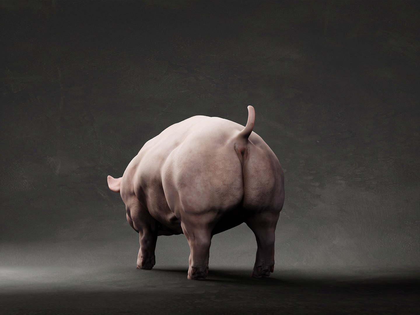 3D Pig model https://p.turbosquid.com/ts-thumb/8h/uvWrbJ/Tp/pz/jpg/1638137469/1920x1080/fit_q87/334ec1ddb7875ebfc9bfedb23f9b63ad43086d2a/pz.jpg