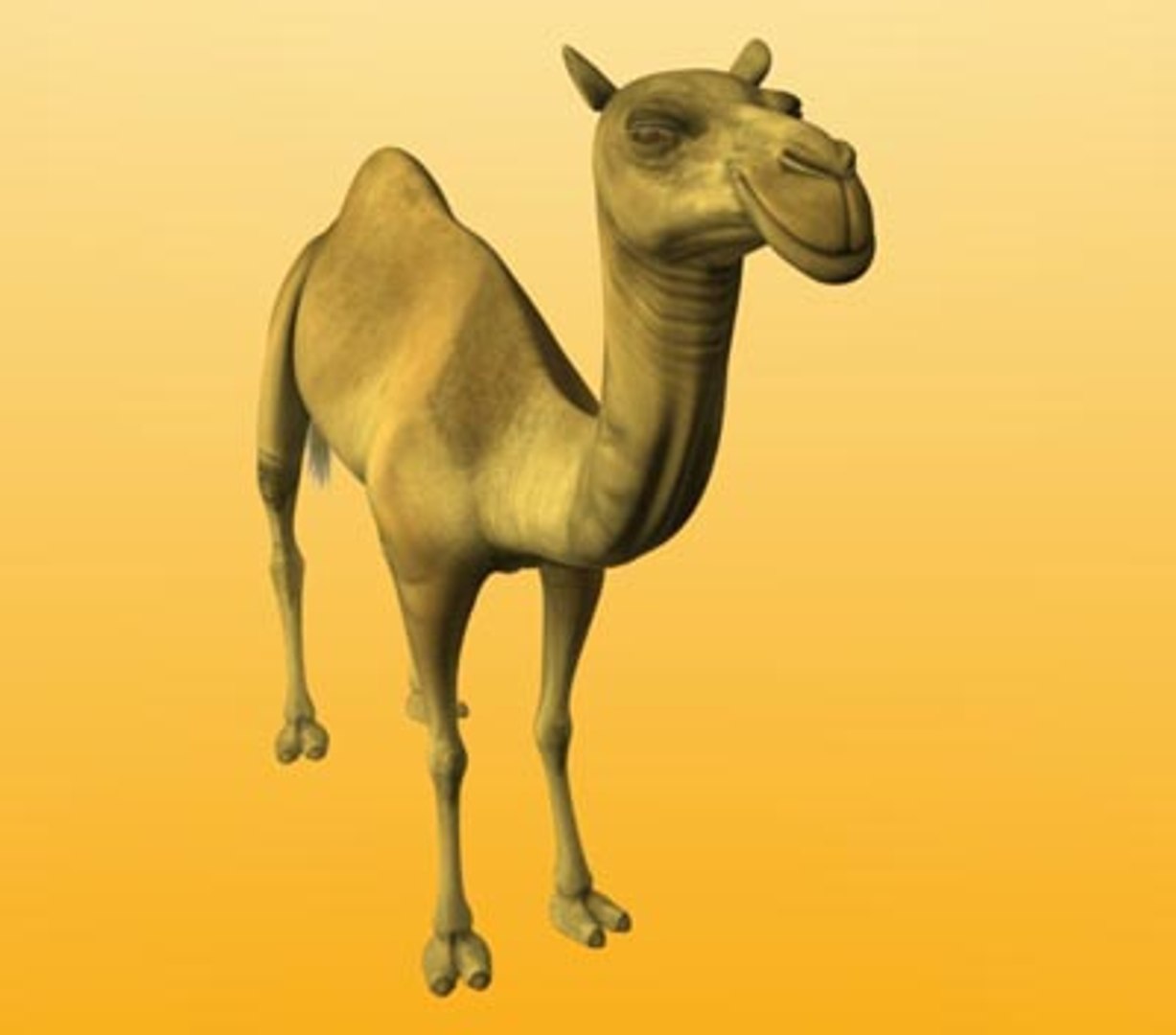 3d camel camel-v2 model https://p.turbosquid.com/ts-thumb/8i/IzrPHs/POyVMbGE/pic4/jpg/1195021738/1920x1080/fit_q87/1f6c4582b40a9ecead57e6a3bb013a06d3e08b13/pic4.jpg