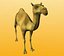 camel-v2