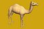 camel-v2