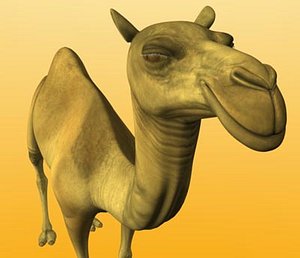 3d camel camel-v2 model