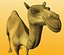 camel-v2