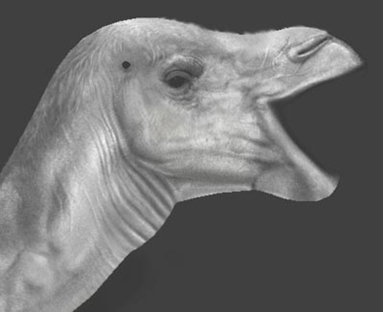 3d camel camel-v2 model https://p.turbosquid.com/ts-thumb/8i/IzrPHs/cX3YmYLC/pic7/jpg/1195021751/1920x1080/fit_q87/c90f9030cd131d71346c8ee9bc169032c3d537ea/pic7.jpg