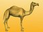 camel-v2