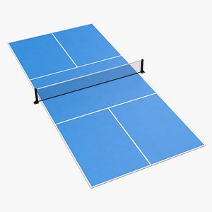 Pickleball Court model