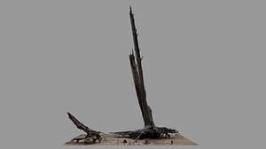 Dead Tree 016