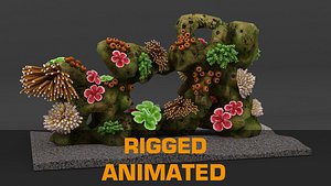 - coral reef - Rigged and animated
