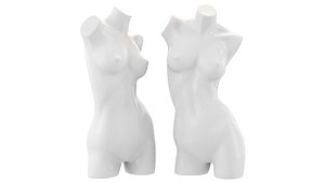 3D Female Mannequin Torso