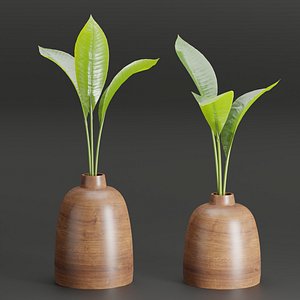3D model Indoor plants collection vol 132-Blender