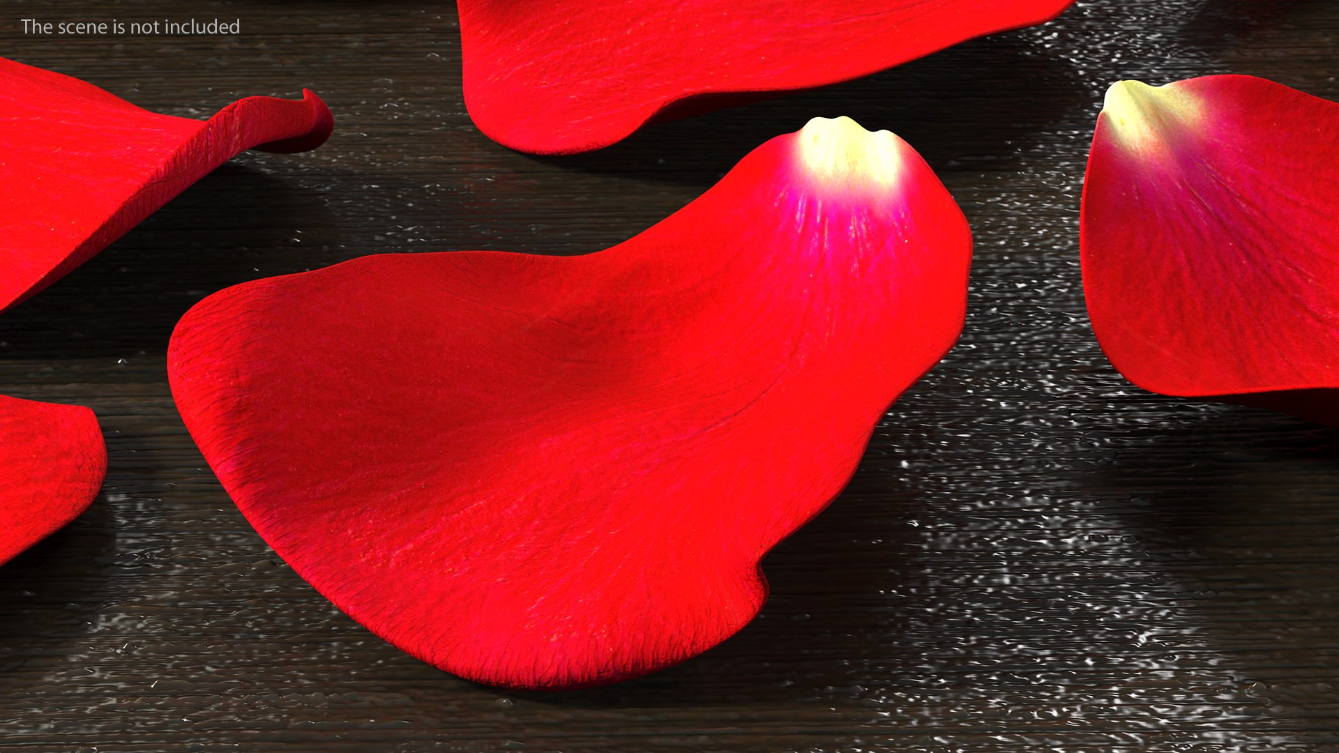 Rose Petals Red 3D model https://p.turbosquid.com/ts-thumb/8i/hRTM6U/4H/rosepetalsred3dsmodel005/jpg/1644262532/1920x1080/fit_q87/f2e99fe5723e0e1a33d757c4b8baf5fb53799985/rosepetalsred3dsmodel005.jpg