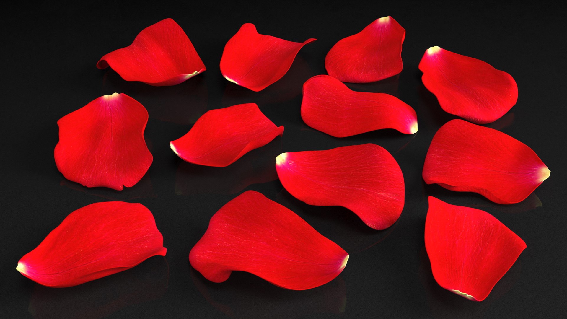 Rose Petals Red 3D model https://p.turbosquid.com/ts-thumb/8i/hRTM6U/Em/rosepetalsred3dsmodel006/jpg/1644262535/1920x1080/fit_q87/6d78b84877d8d2e377b3d2cc2a11a1b2764f657e/rosepetalsred3dsmodel006.jpg