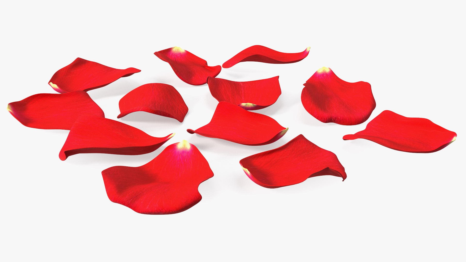 Rose Petals Red 3D model https://p.turbosquid.com/ts-thumb/8i/hRTM6U/ey/rosepetalsred3dsmodel012/jpg/1644262552/1920x1080/fit_q87/db1766efac586756b5bf926c0fb2abd1b889af13/rosepetalsred3dsmodel012.jpg