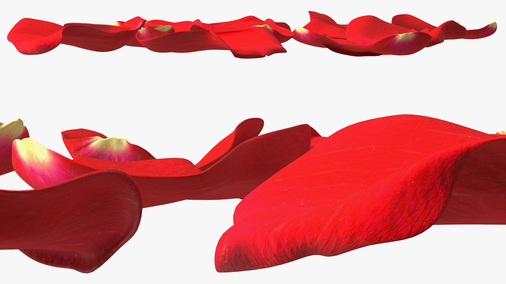 Rose Petals Red 3D model https://p.turbosquid.com/ts-thumb/8i/hRTM6U/h2/rosepetalsred3dsmodel007/jpg/1644262538/1920x1080/fit_q87/52713a98a82e3d043fb0765be30932aced9eef3f/rosepetalsred3dsmodel007.jpg