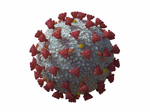 Coronavirus COVID-19