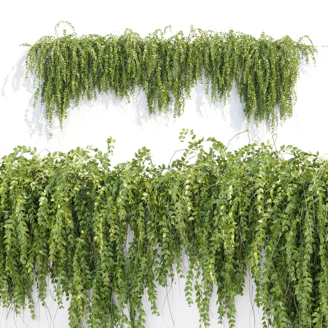 3D Hanging wall plants vol 118 - TurboSquid 1977981