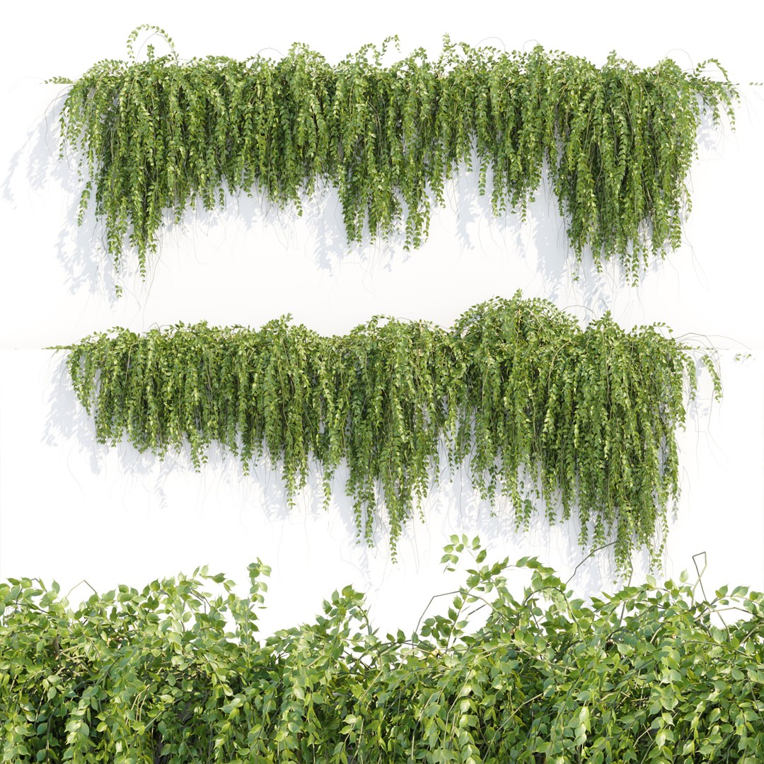 3D Hanging wall plants vol 118 - TurboSquid 1977981