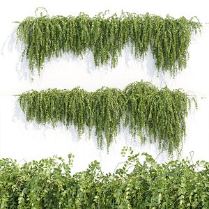 Hanging wall plants vol 118-3dmodel
