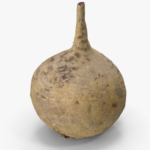 3D Beet Dirty