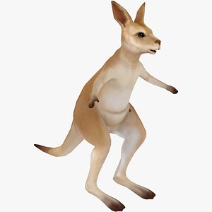 3D Kangaroo