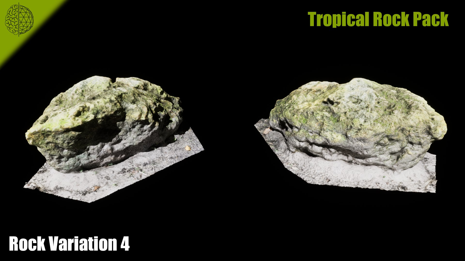 Tropical Rock Pack Model - TurboSquid 2457543