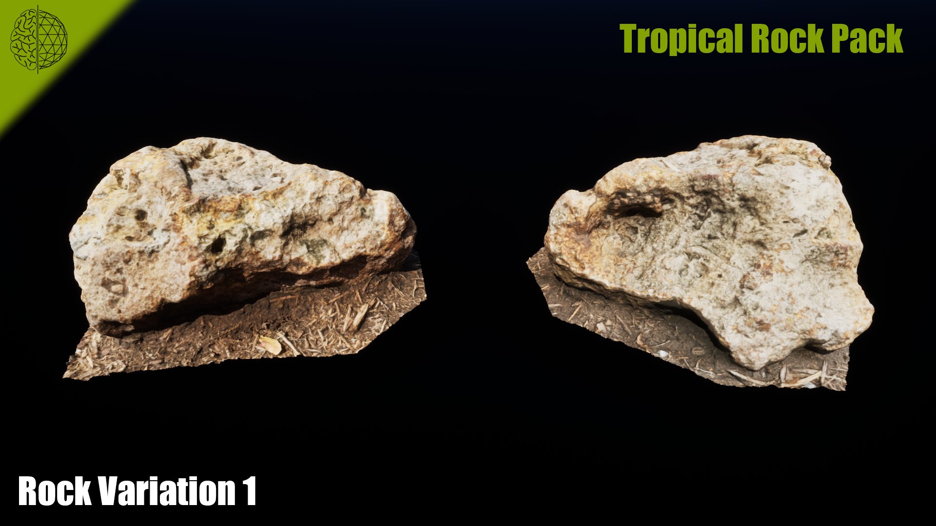 Tropical Rock Pack Model - TurboSquid 2457543